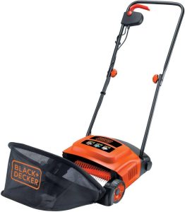 Black & Decker lawn raker.