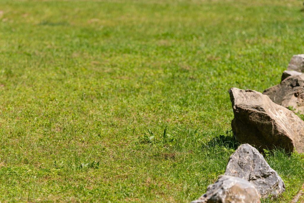 Boulders on a lawn.