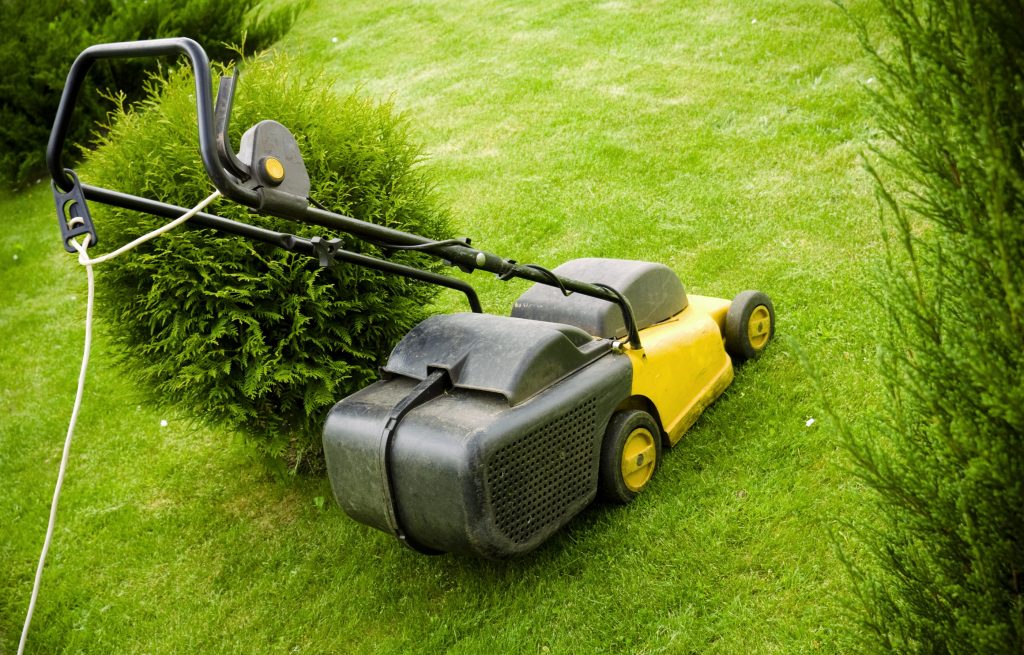 Corded rotary lawn mower.