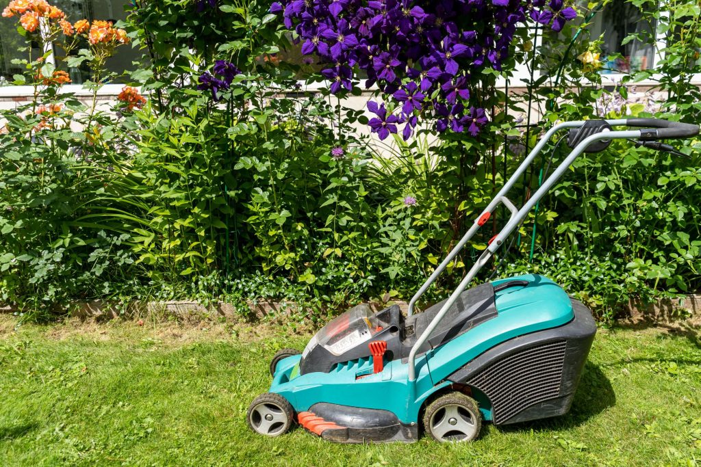 Cordless Bosch lawn mower.