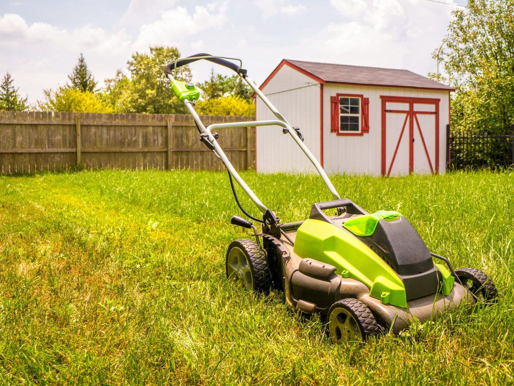 Cordless electric lawn mower.