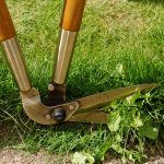 5 Best Edging Shears | For Trimming Lawn Edges | UK