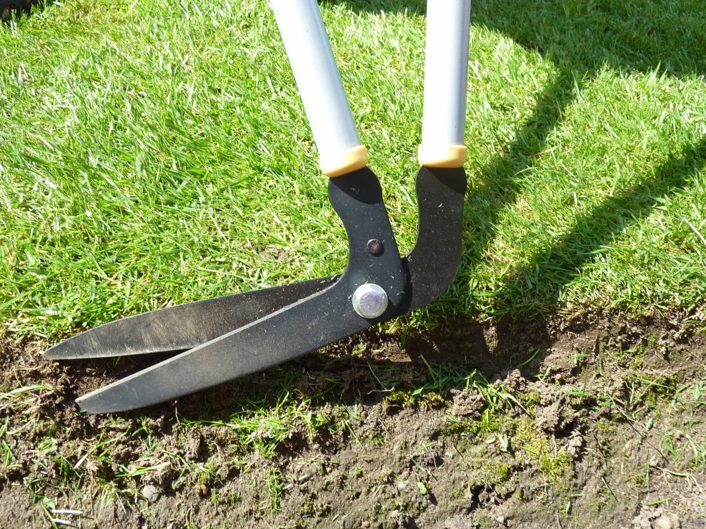 Edging shears being used to trim lawn.