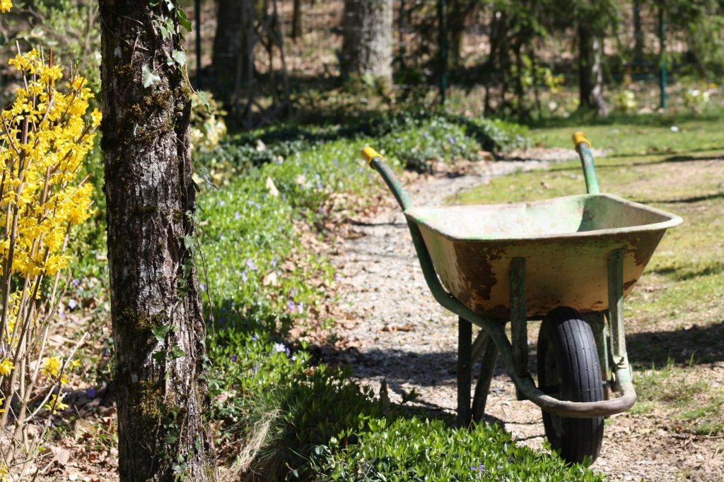 Empty wheelbarrow in a forest.