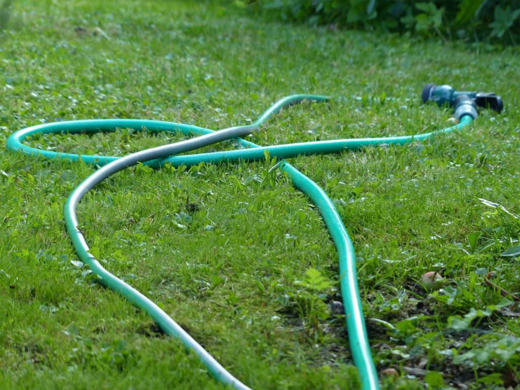 Garden hose resting on grass.
