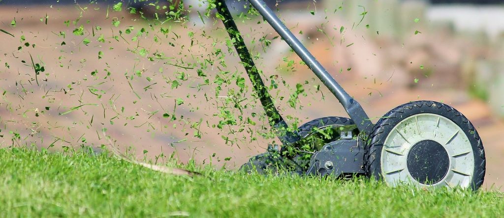 Manual mower being used.