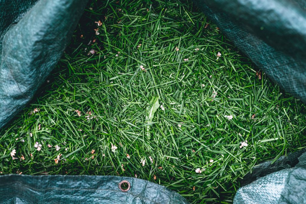 Grass clippings in a bag.