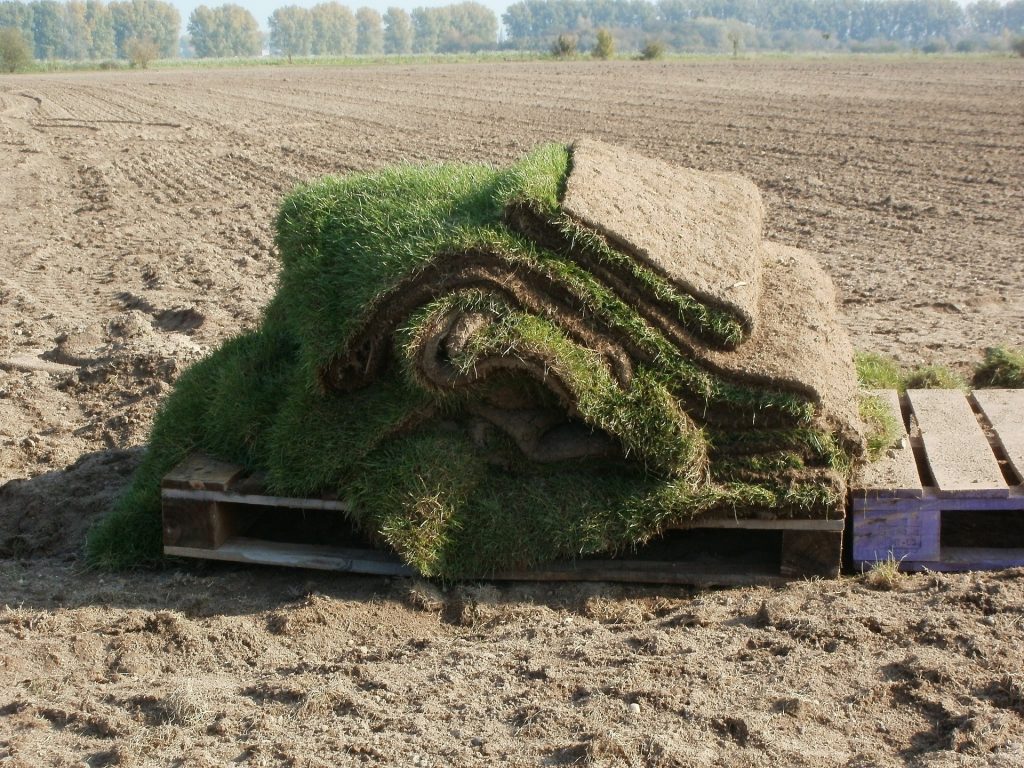Grass sods used on a farm.