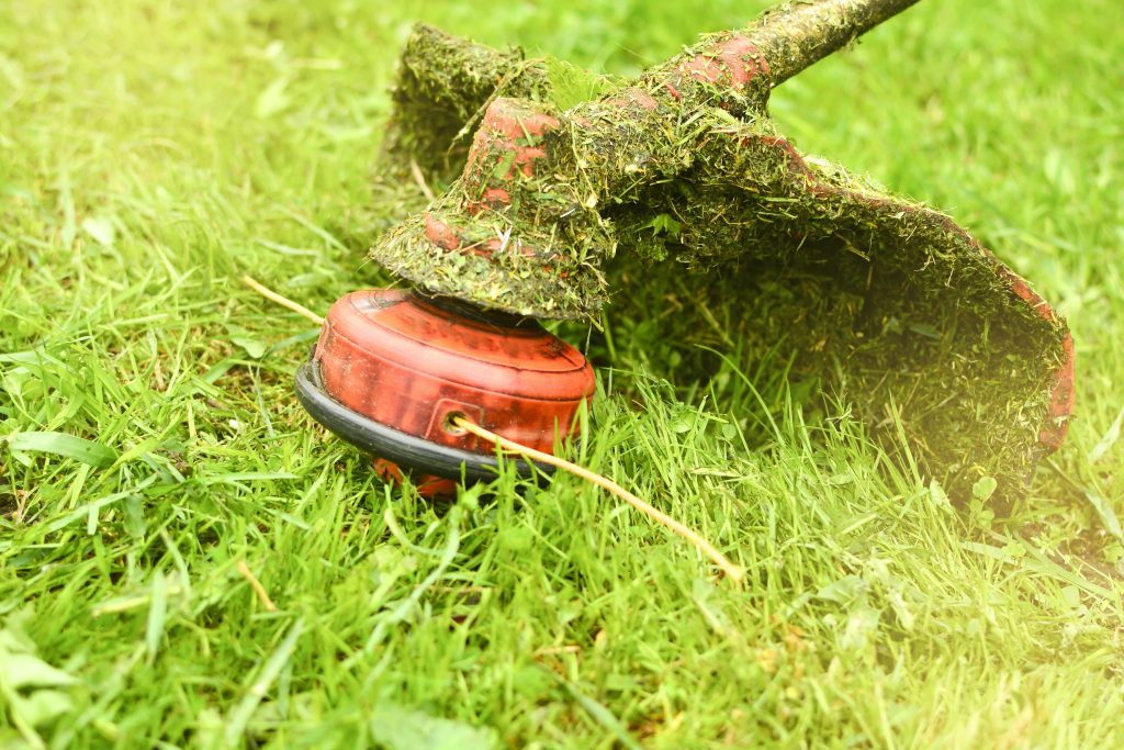 Grass strimmer resting on a lawn.