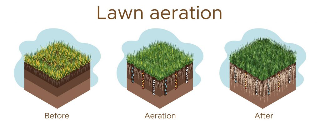 Lawn aeration diagram.