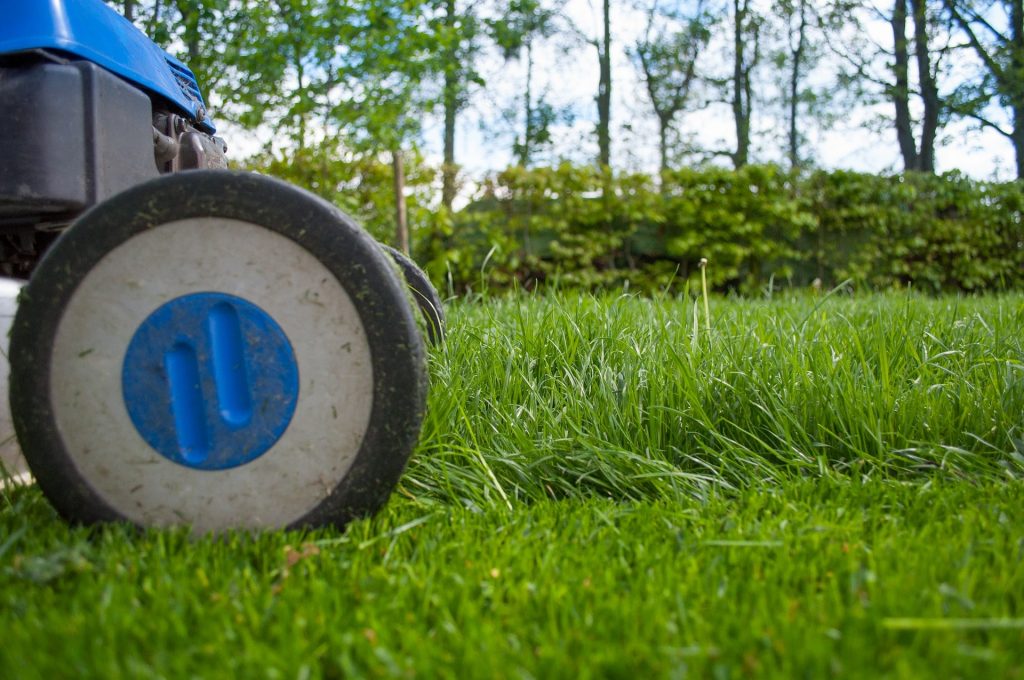 Petrol lawn mower cutting grass.