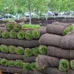 How To Lay Turf On Existing Grass