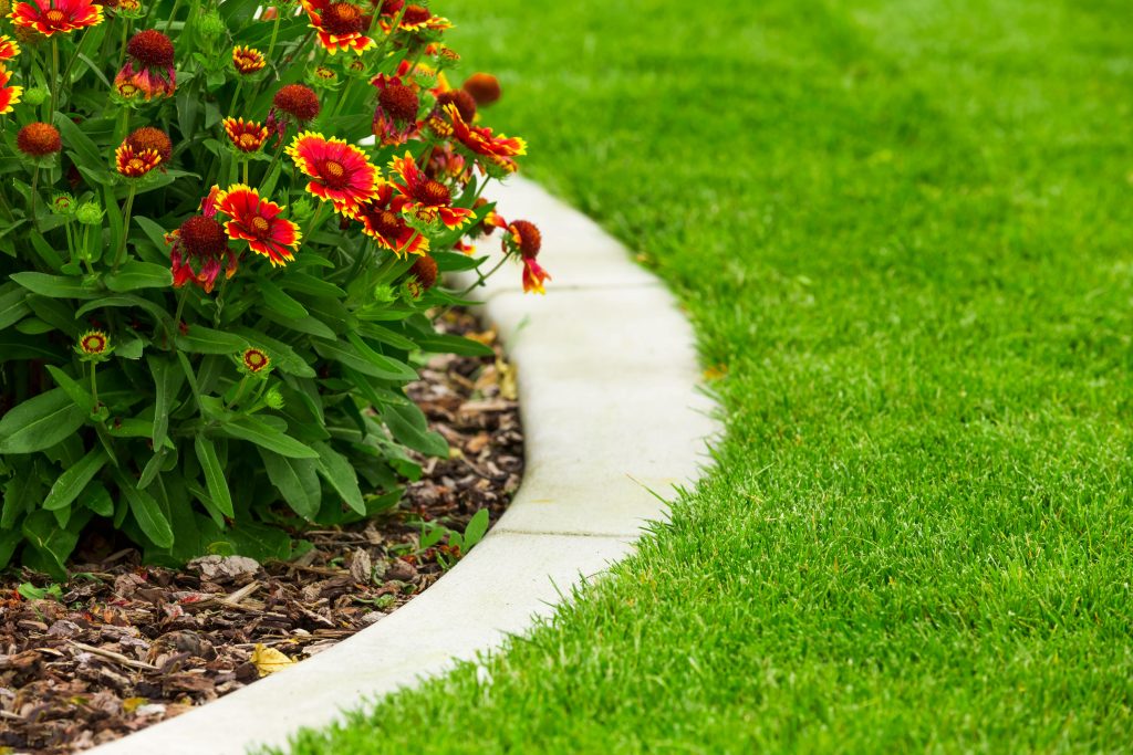 A brick border between a lawn and garden bed.