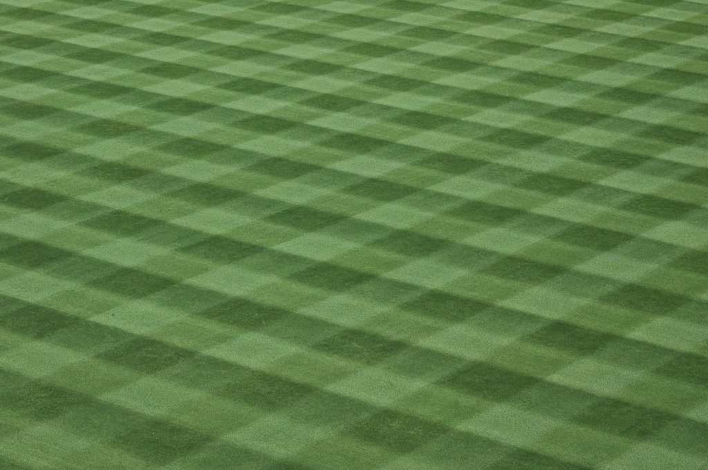 Lawn with a checkerboard pattern mown.