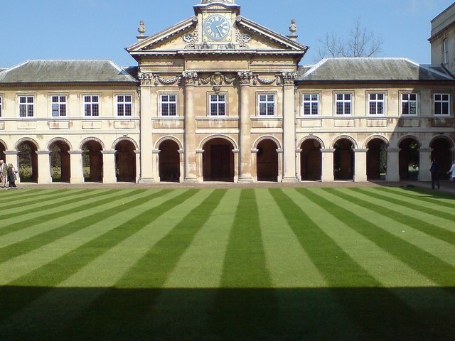 Lawn with stripes.