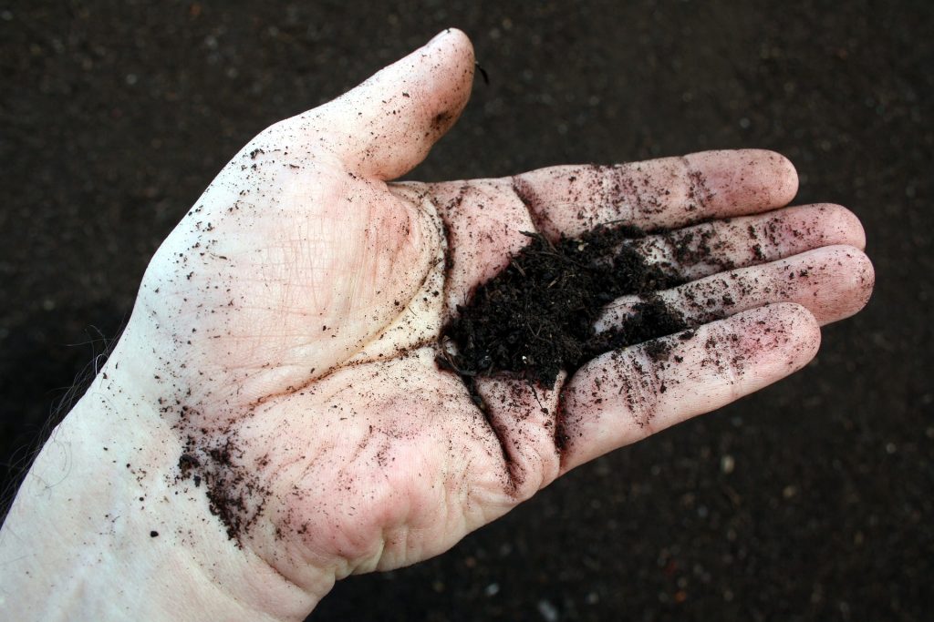 Man holding compost in their hand.