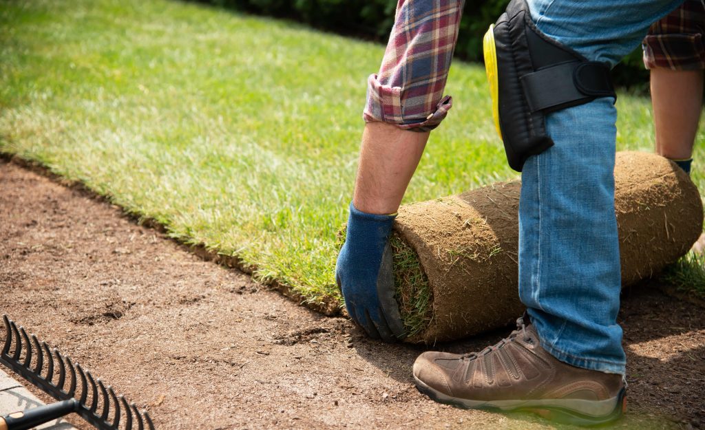 Man laying new turf on soil.