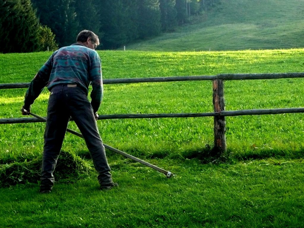 Man using a scythe to cut grass.