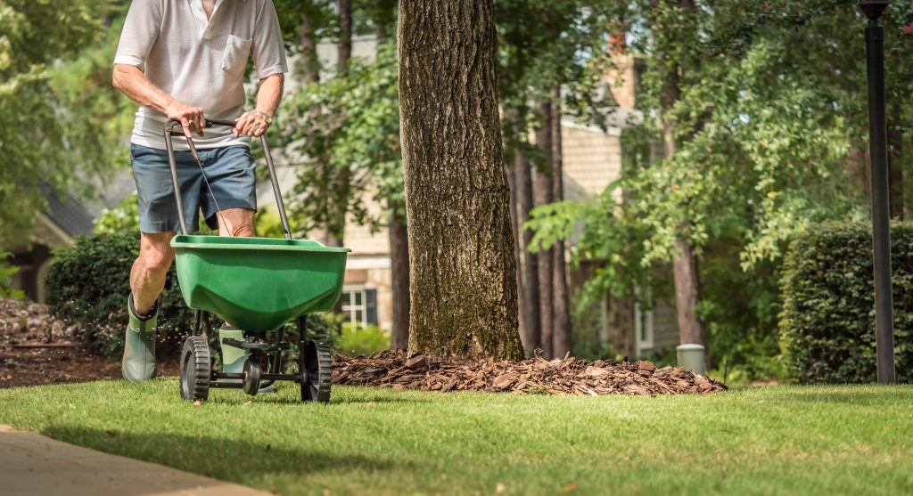 Man using a drop spreader.