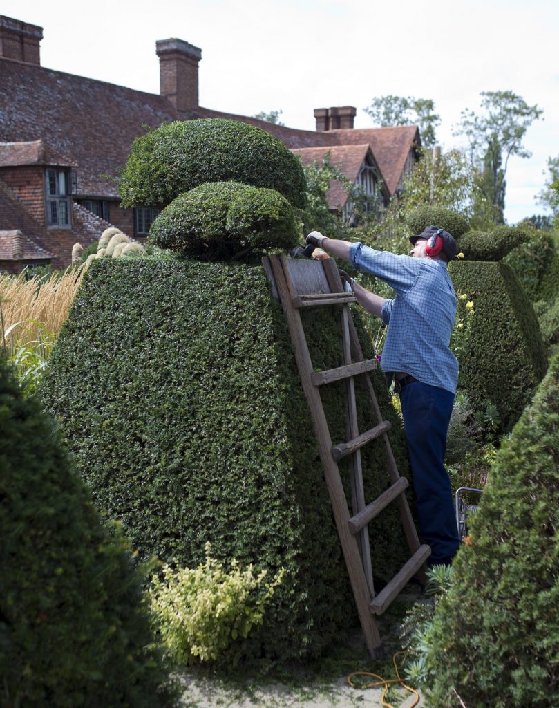 Man using a hedge trimmer.