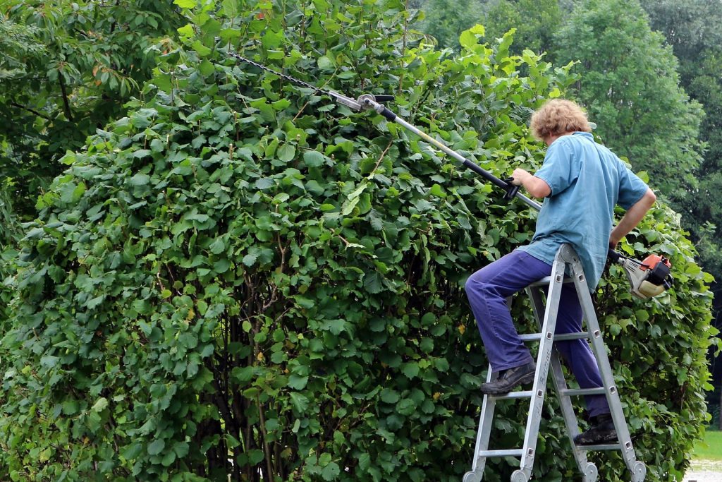 Man using a long reach hedge trimmer.