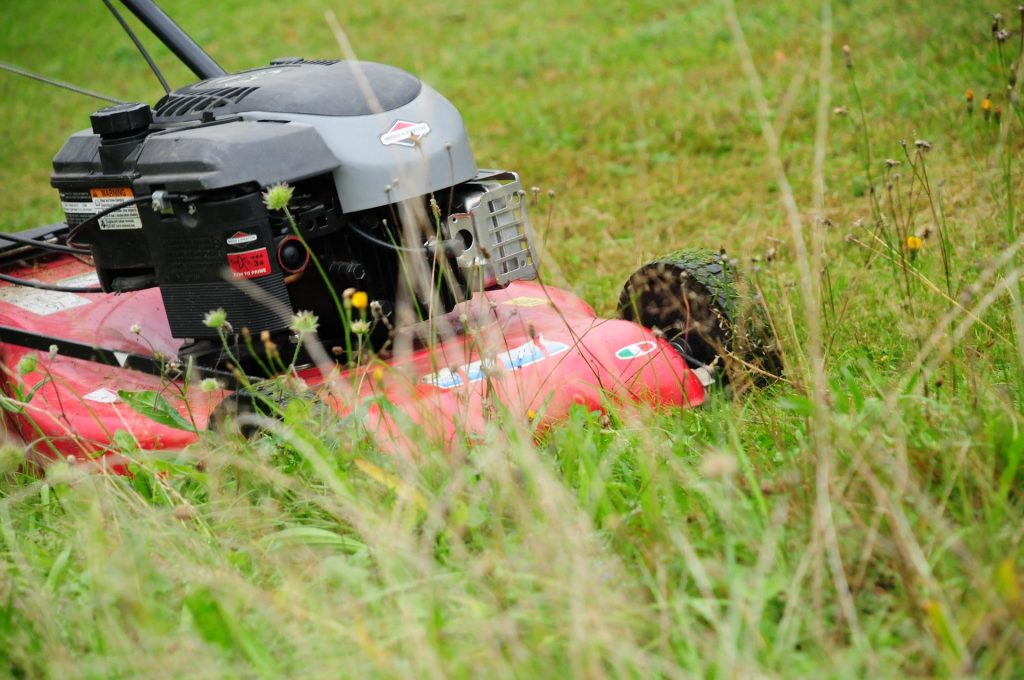 Mulching lawn mower.