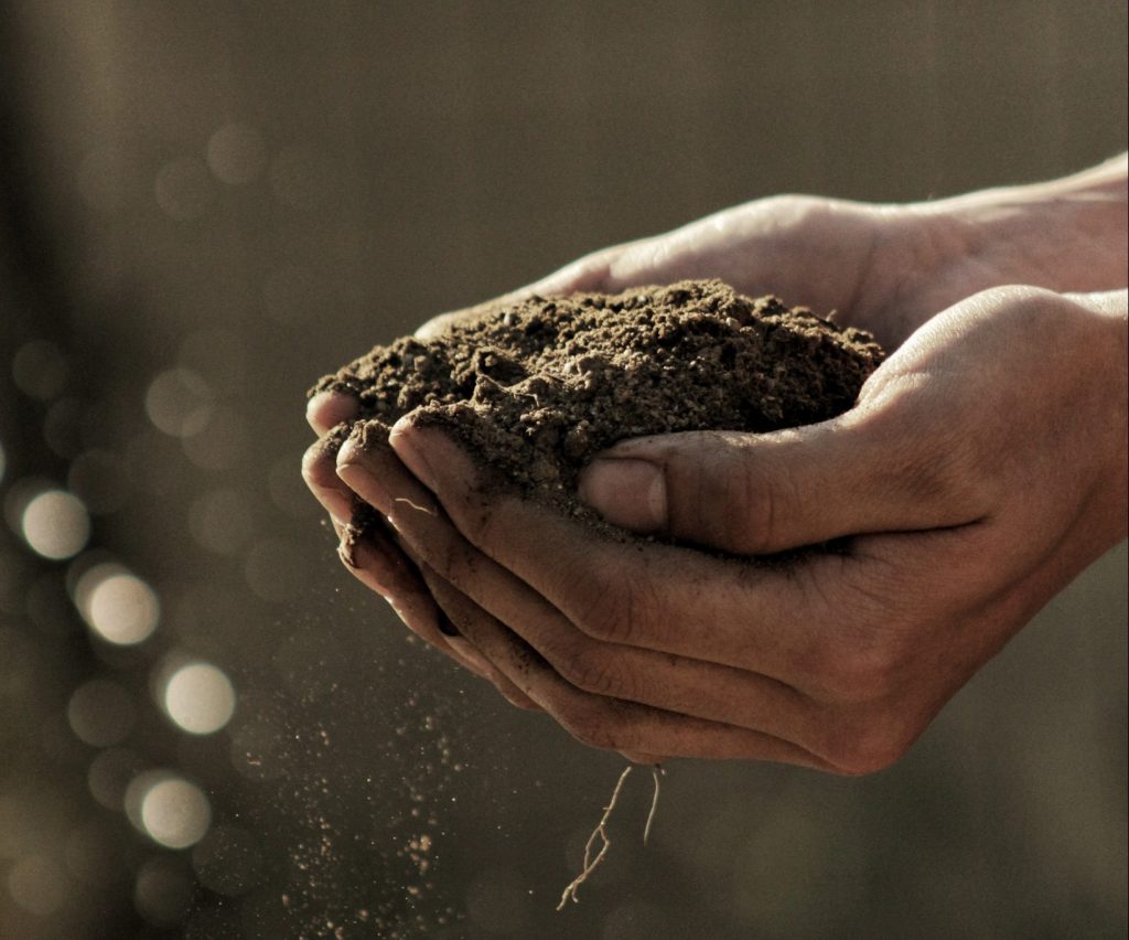 Person holding soil in their hands.