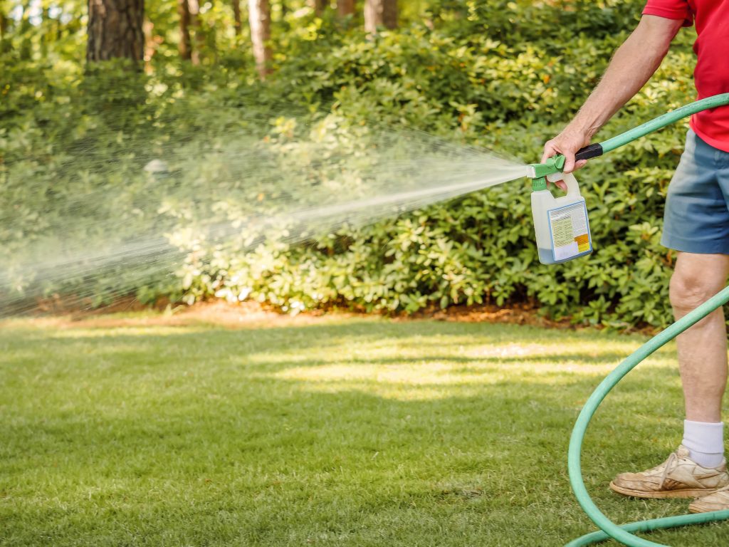 Man spraying grass with weedkiller.