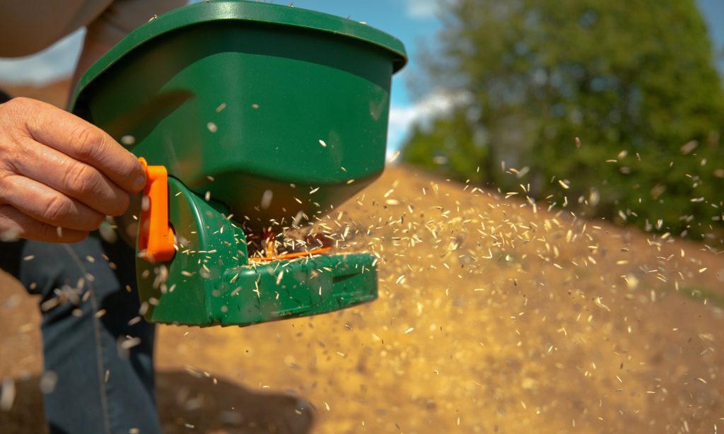 Person scattering grass seeds with a spreader.