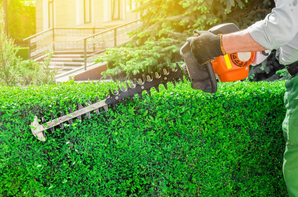 Petrol hedge trimmer.