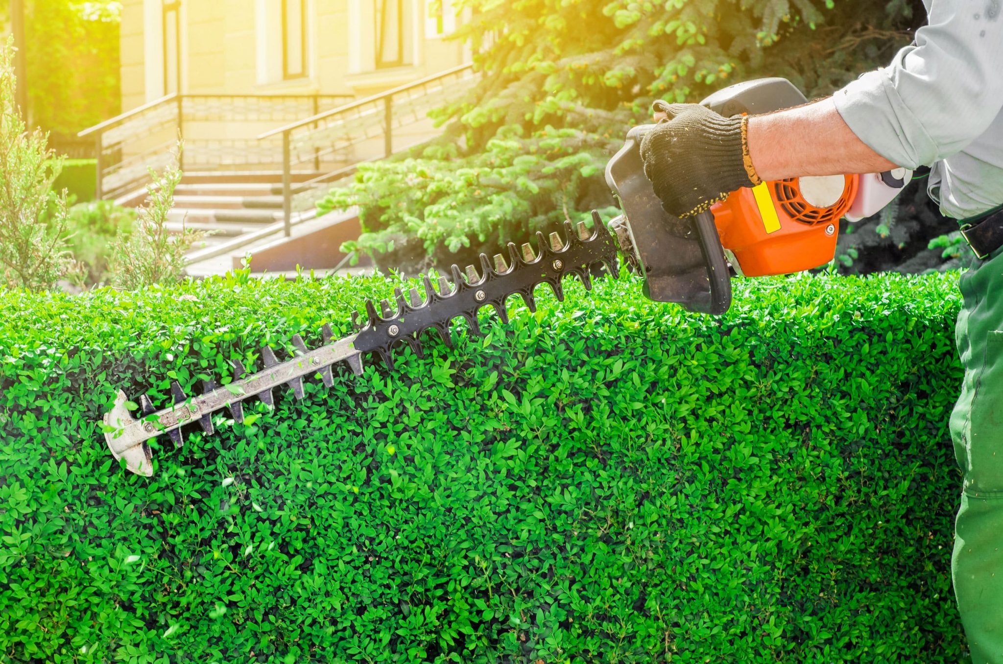 5 Best Petrol Hedge Trimmers | Long Reach | UK | 2026