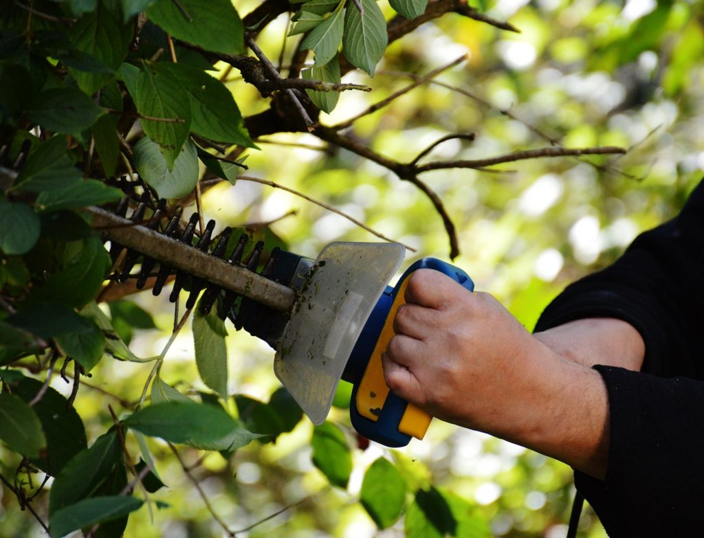 Man using a petrol hedge trimmer.