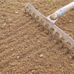 How Much Soil Does Grass Need To Grow? Ideal Topsoil Depth