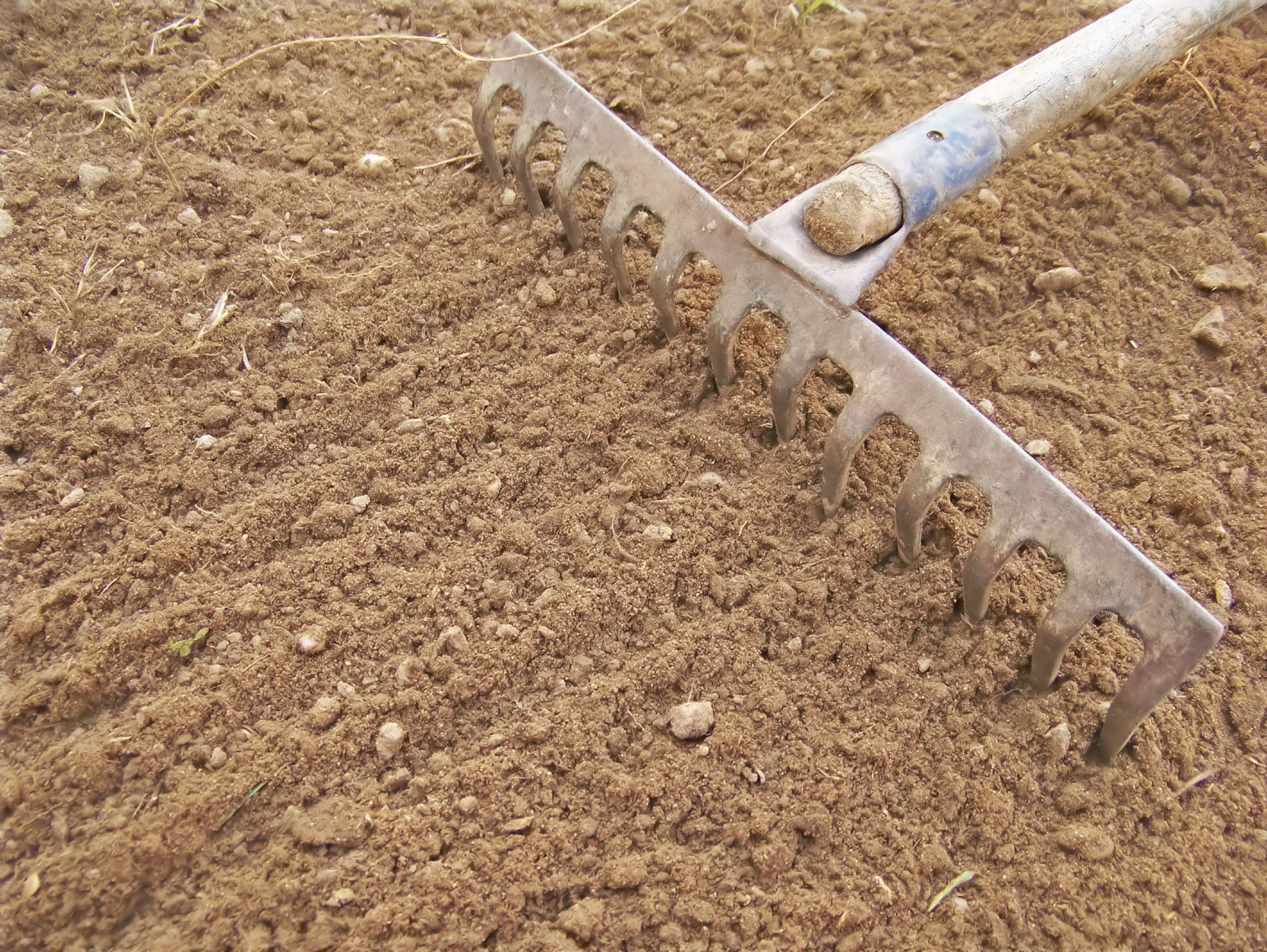 Gardener raking topsoil.