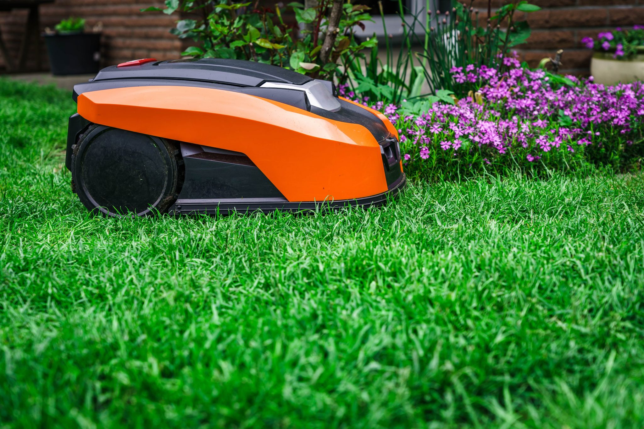 5 Best Robot Lawn Mowers UK For Large And Small Lawns