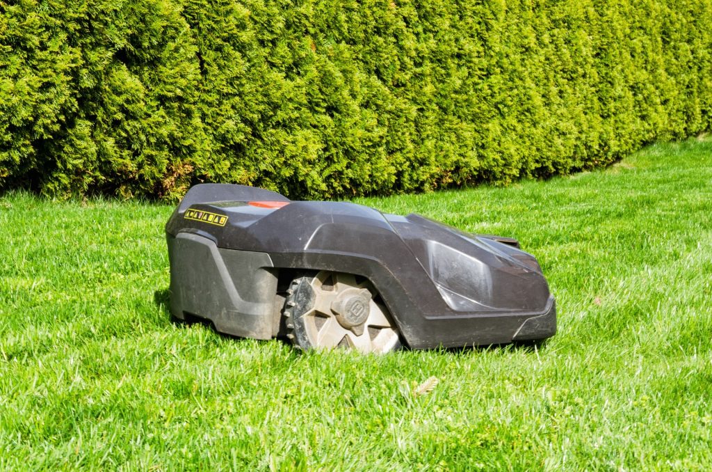 Robot lawn mower on grass.