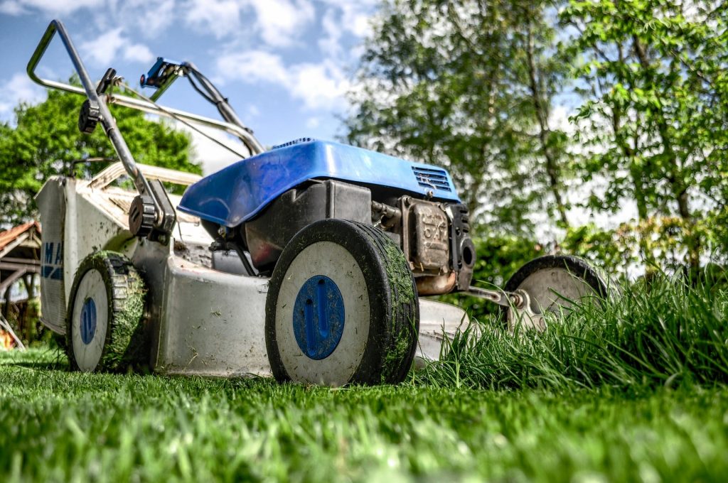 Petrol lawn mower cutting grass.