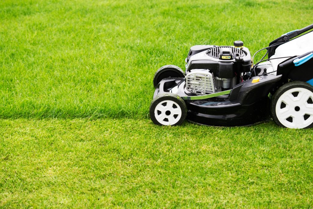 Mowing a lawn for the first time with a petrol mower.