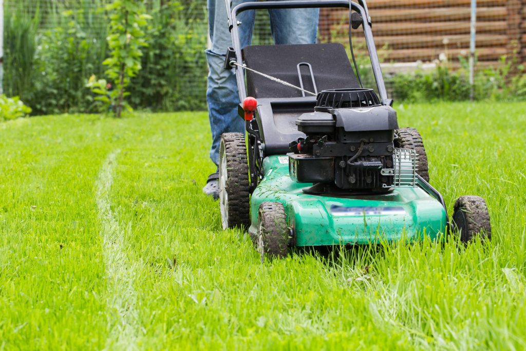 Self propelled petrol lawn mower.