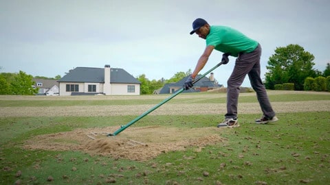 Top dressing a lawn.