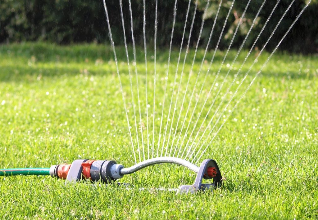 Sprinkler watering grass.