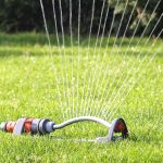 Sprinkler watering grass.