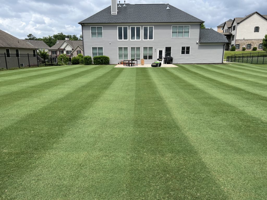 Well manicured lawn in front of a house.