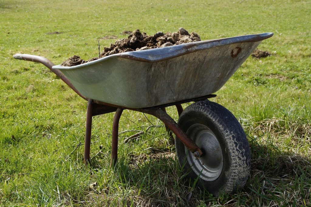 Wheelbarrows full of dirt.